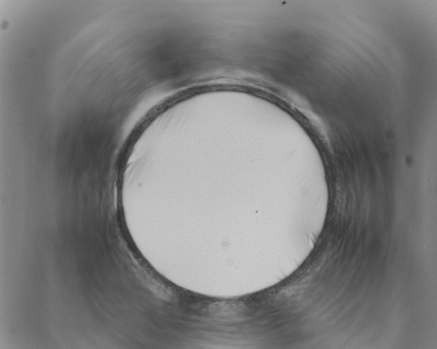 X0000088171368200706121615