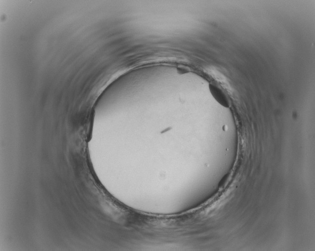 X0000088171369200706121615