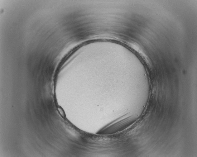 X0000088171372200706121615