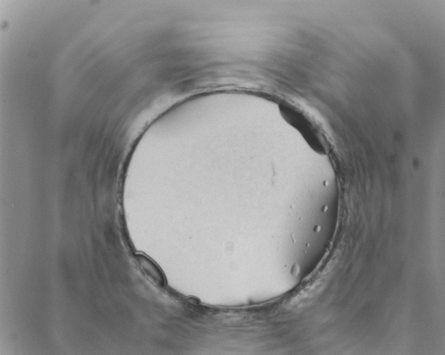 X0000088171373200706121615