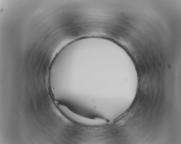 X0000088171374200706121615