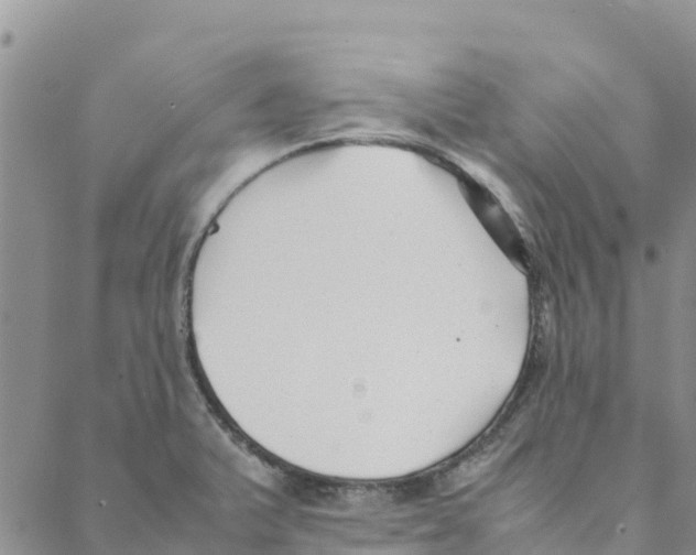 X0000088171375200706121615