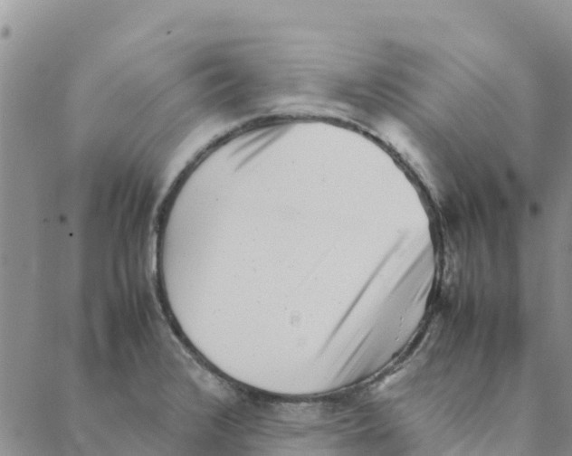 X0000088171376200706121615