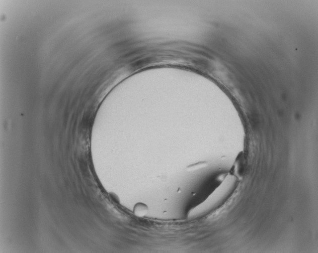 X0000088171377200706121615