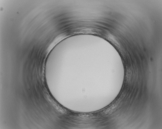 X0000088171378200706121615