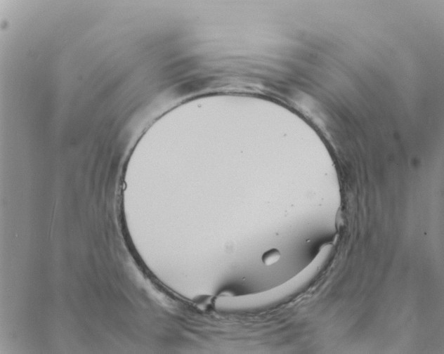 X0000088171379200706121615