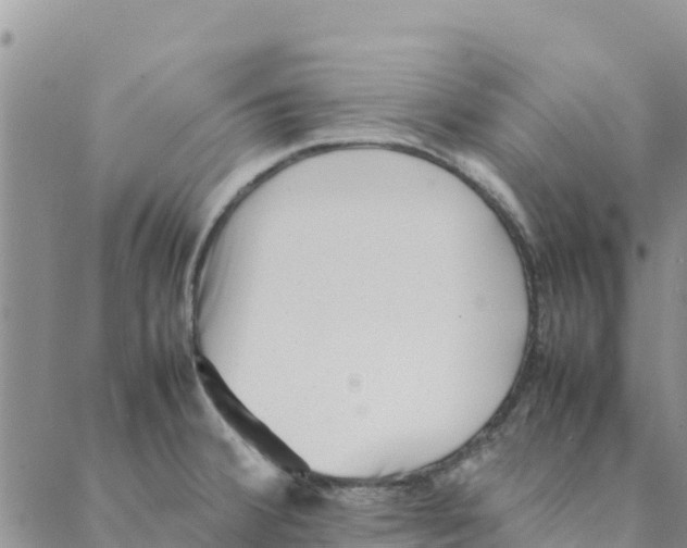 X0000088171380200706121615