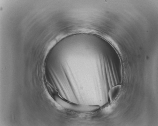 X0000088171381200706121615