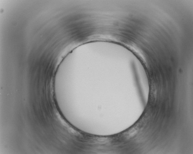 X0000088171382200706121615