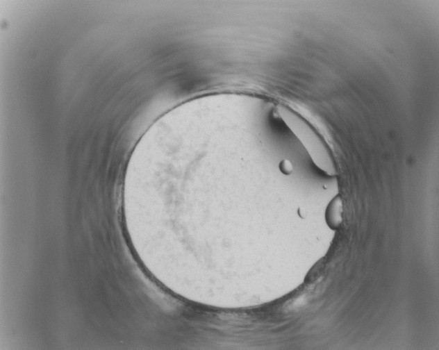 X0000088171383200706121615