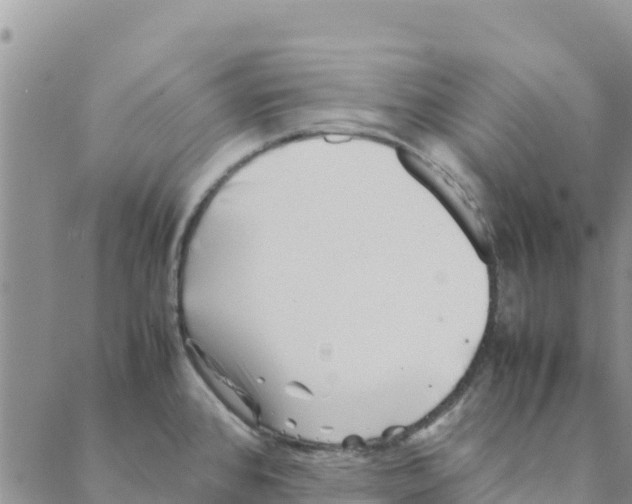 X0000088171384200706121615