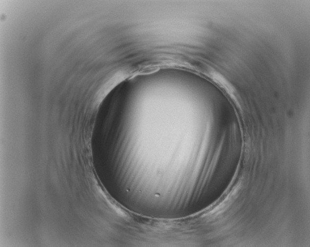 X0000088171385200706121615