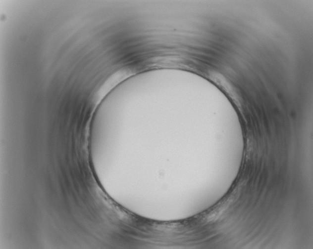 X0000088171386200706121615