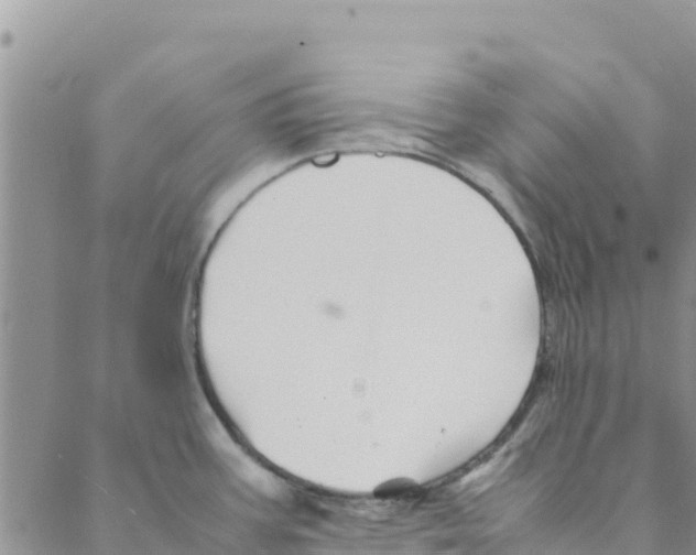 X0000088171387200706121615