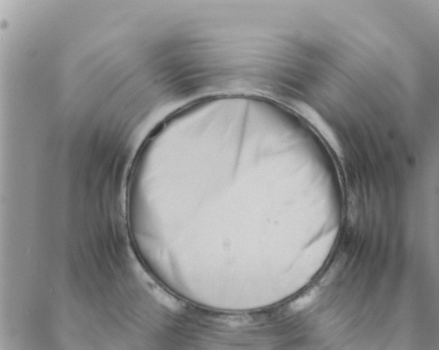 X0000088171388200706121615