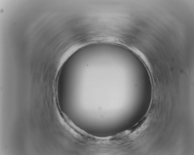 X0000088171389200706121615