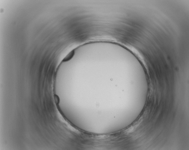 X0000088171390200706121615