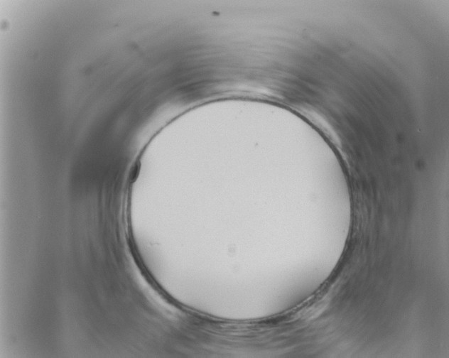 X0000088171391200706121615