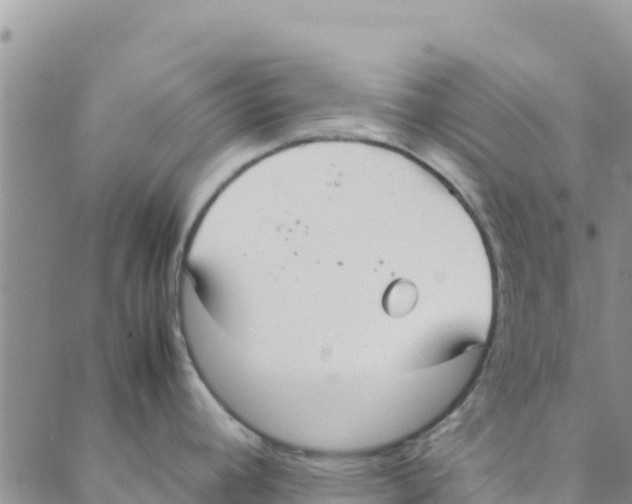 X0000088171392200706121615