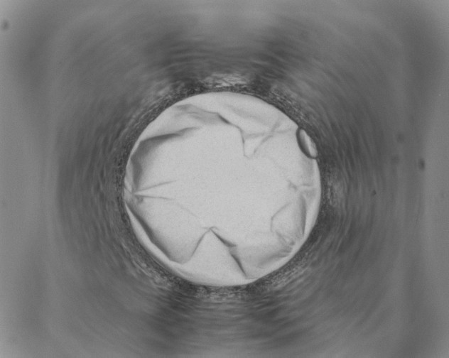 X0000088171393200706121614