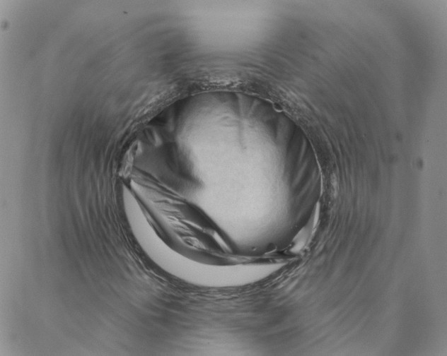 X0000088171394200706121614