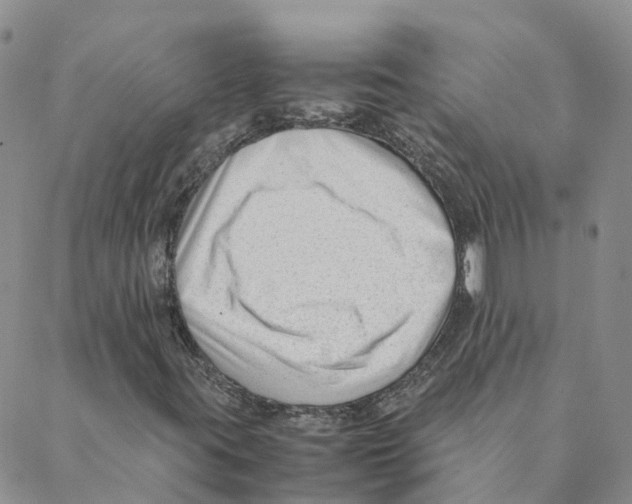 X0000088171395200706121614