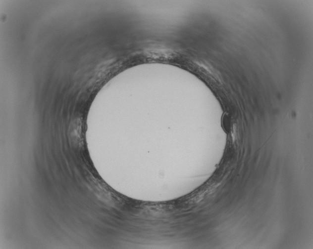 X0000088171396200706121614