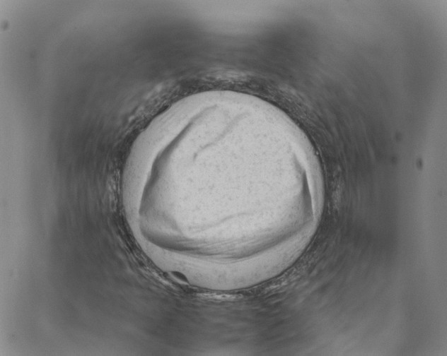 X0000088171397200706121614