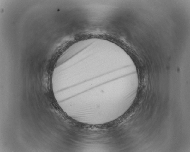 X0000088171398200706121614