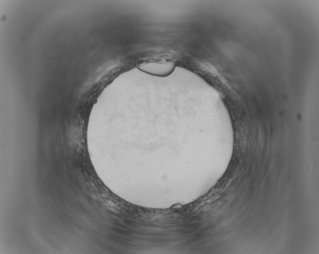 X0000088171399200706121614