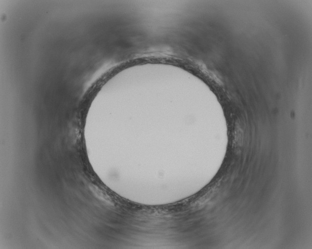 X0000088171400200706121614