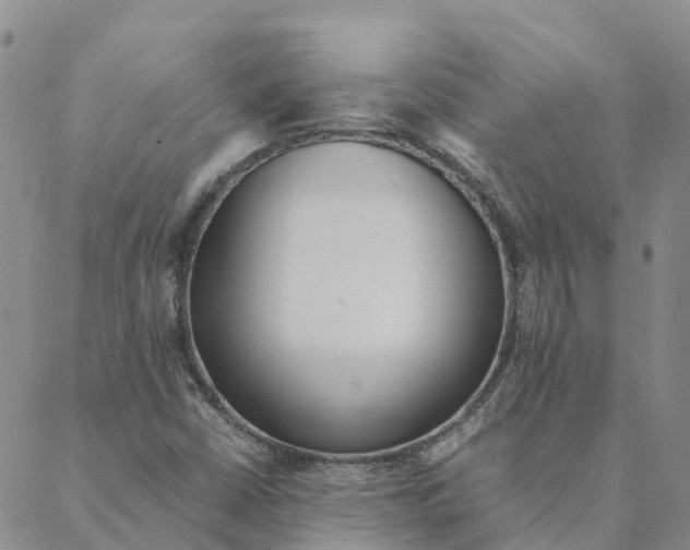 X0000088171402200706121614