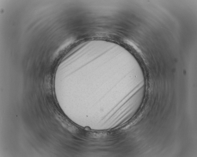 X0000088171403200706121614