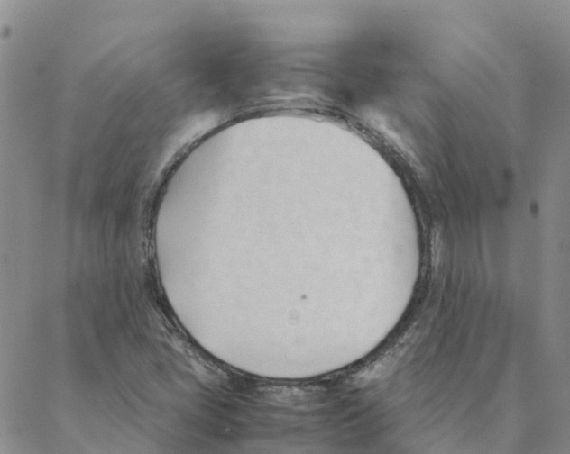 X0000088171405200706121614