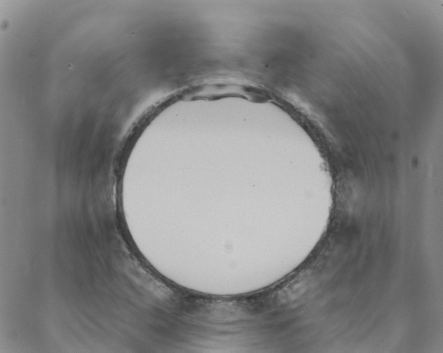 X0000088171408200706121614