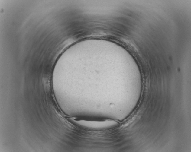 X0000088171409200706121614