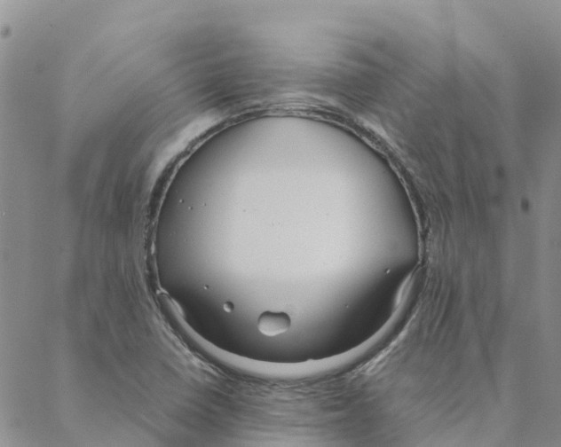 X0000088171410200706121614