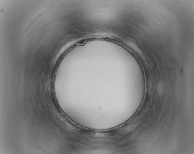 X0000088171412200706121615