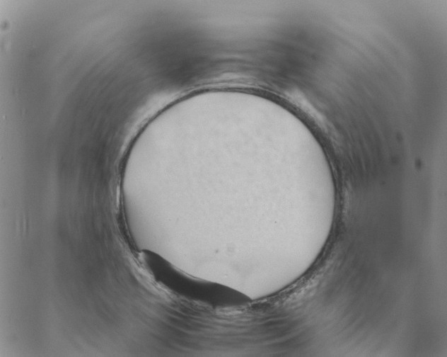 X0000088171413200706121615