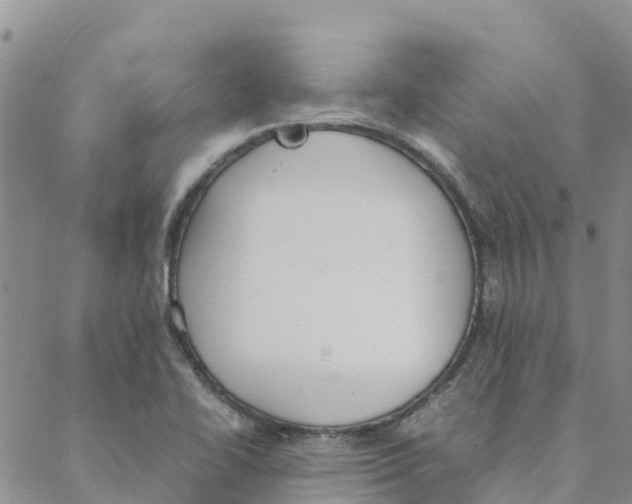 X0000088171414200706121615