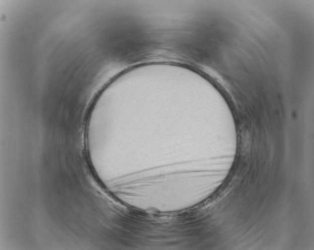 X0000088171415200706121615