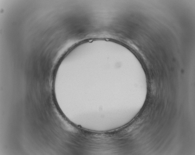 X0000088171416200706121615