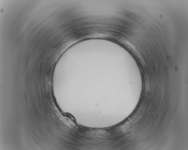 X0000088171417200706121615