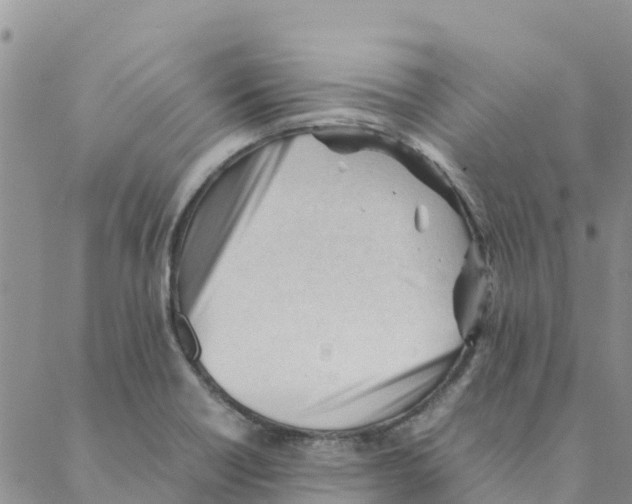 X0000088171418200706121615