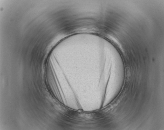 X0000088171419200706121615