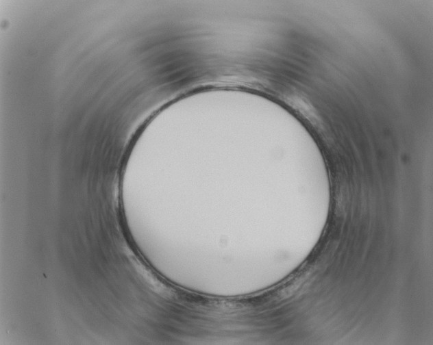 X0000088171420200706121615