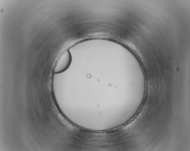 X0000088171421200706121615