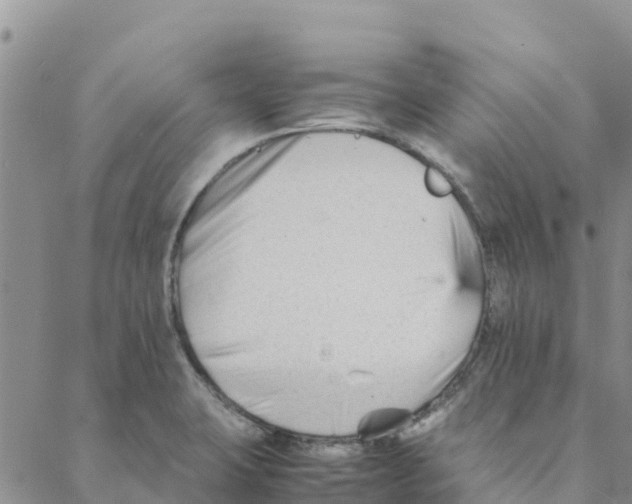 X0000088171423200706121615