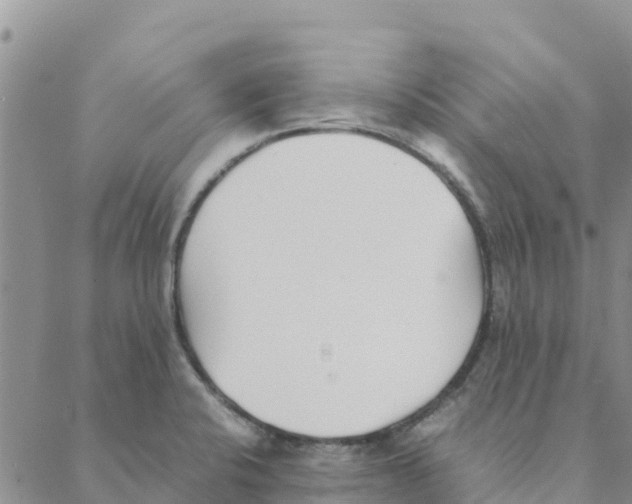 X0000088171424200706121615