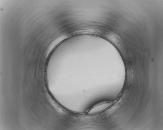 X0000088171426200706121615